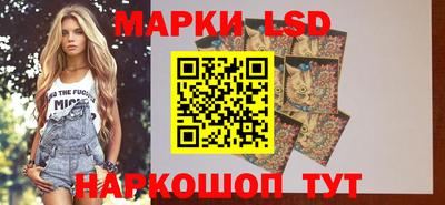 ешки Обнинск