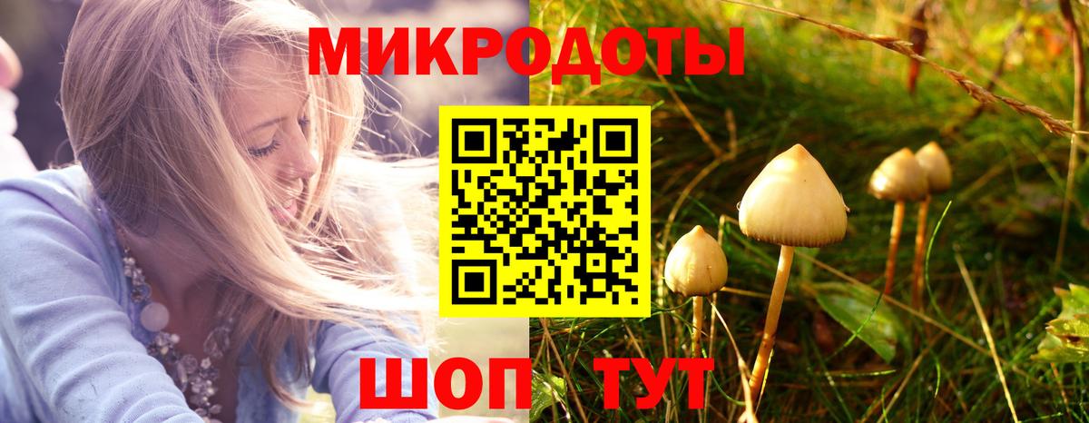 Псилоцибиновые грибы Cubensis Евпатория